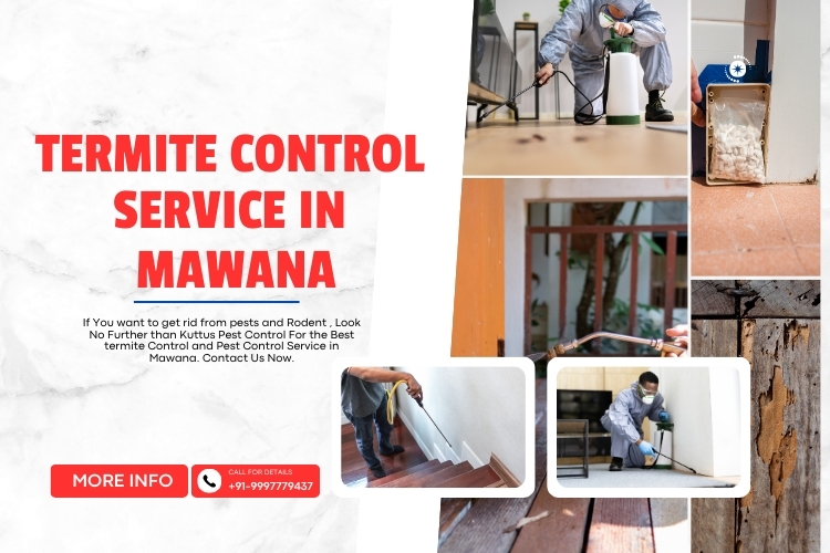 Termite Control Service in Mawana
